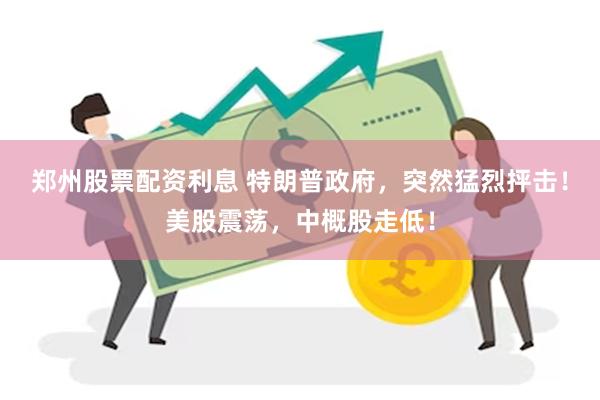 郑州股票配资利息 特朗普政府，突然猛烈抨击！美股震荡，中概股走低！