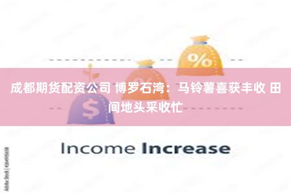 成都期货配资公司 博罗石湾：马铃薯喜获丰收 田间地头采收忙