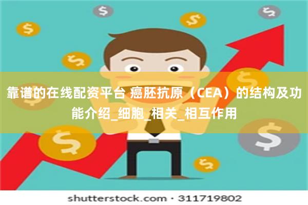 靠谱的在线配资平台 癌胚抗原（CEA）的结构及功能介绍_细胞_相关_相互作用