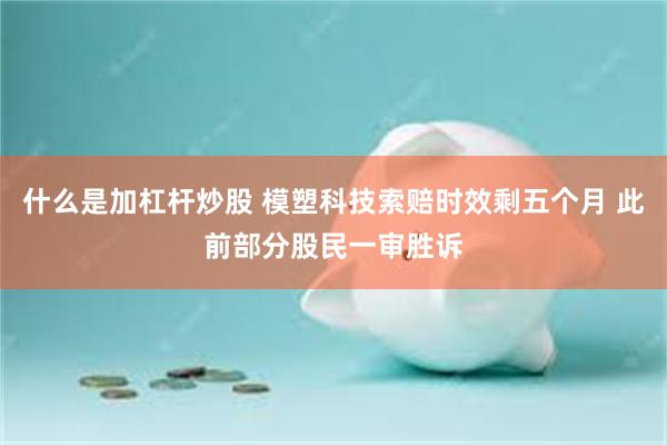 什么是加杠杆炒股 模塑科技索赔时效剩五个月 此前部分股民一审胜诉